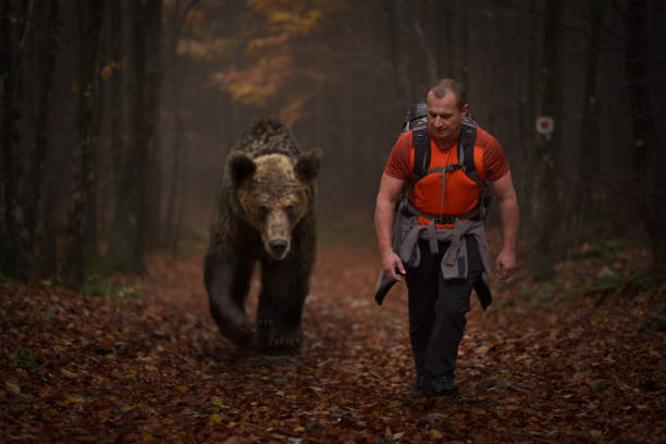 Man or bear?